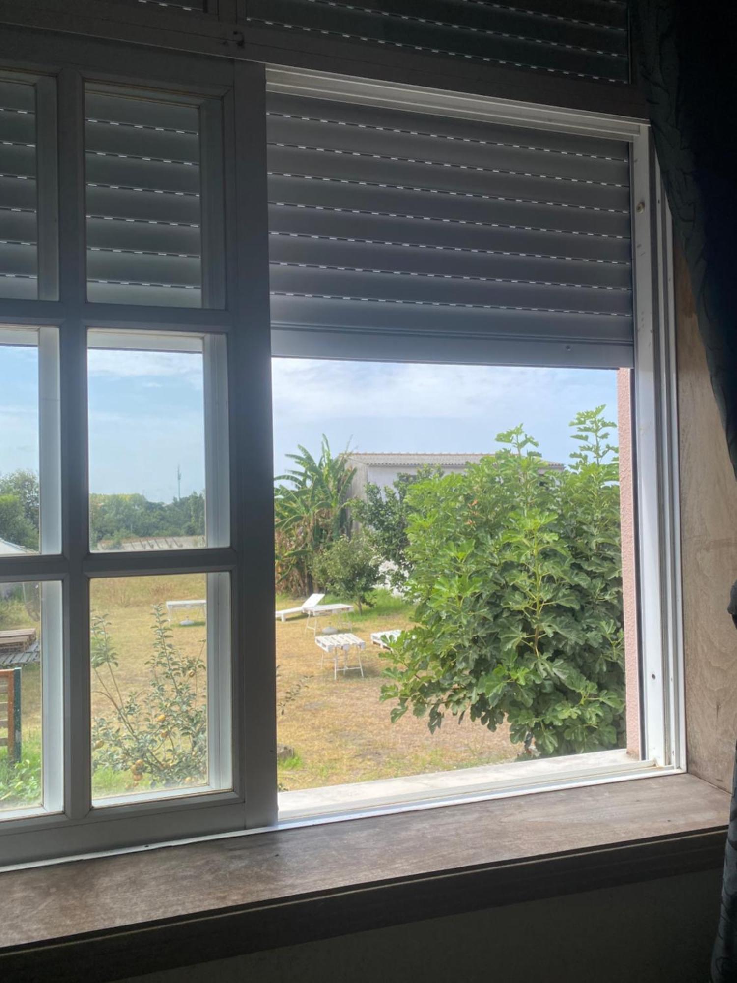 Aradas Garden Hostel מראה חיצוני תמונה