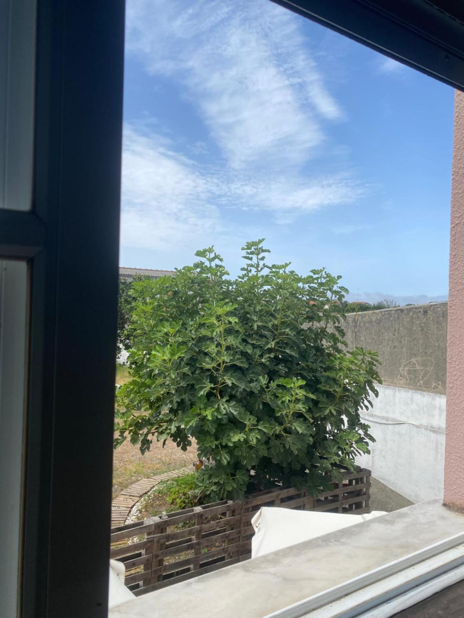 Aradas Garden Hostel מראה חיצוני תמונה